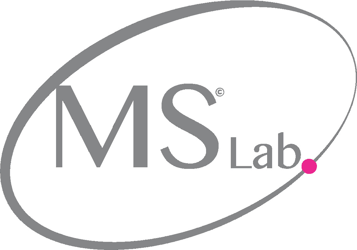 MSLAB France